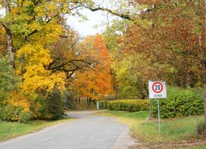 Rudens izgrezno Kabili