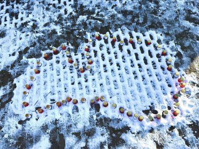 Latvijas kontūra sniegā