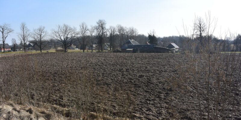 Uzarts lauks agrā pavasarī ar kailiem kokiem un mājām fonā zem skaidrām debesīm. Izsole "Biķeri"